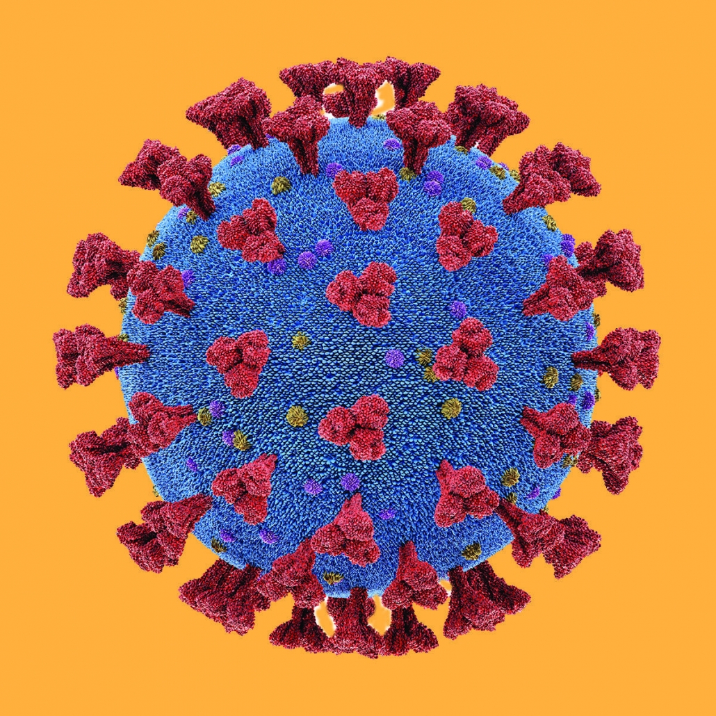 Covid-19 Virus image